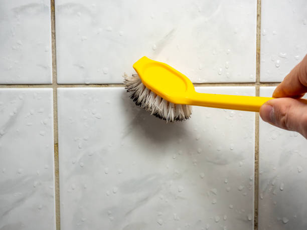 Reliable Princeton, KY Mold Remediation Solutions