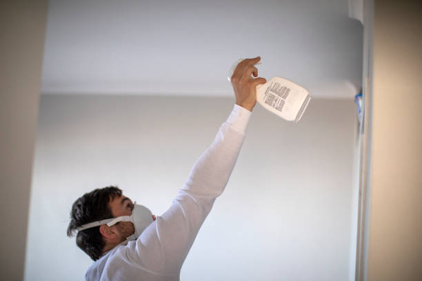Best Black Mold Remediation in Princeton, KY
