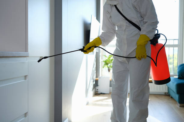 Best Mold Remediation for Specific Building Types in Princeton, KY